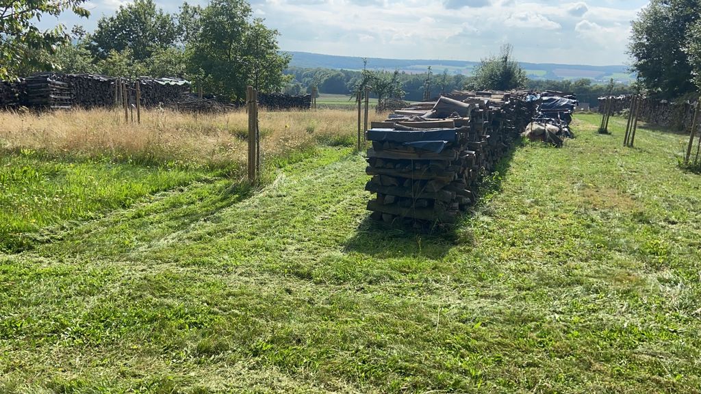 Un bel posto nel prato del nostro frutteto