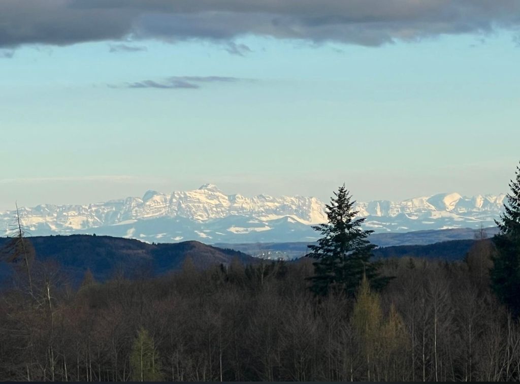 Aussicht bei schönem Wetter