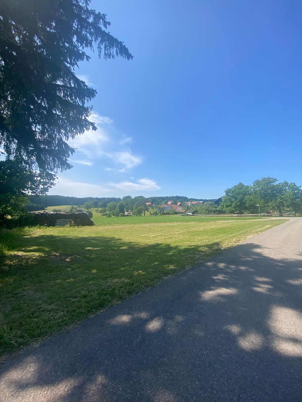 Waldrand-Glück: Natur & Ruhe in Gaugenwald