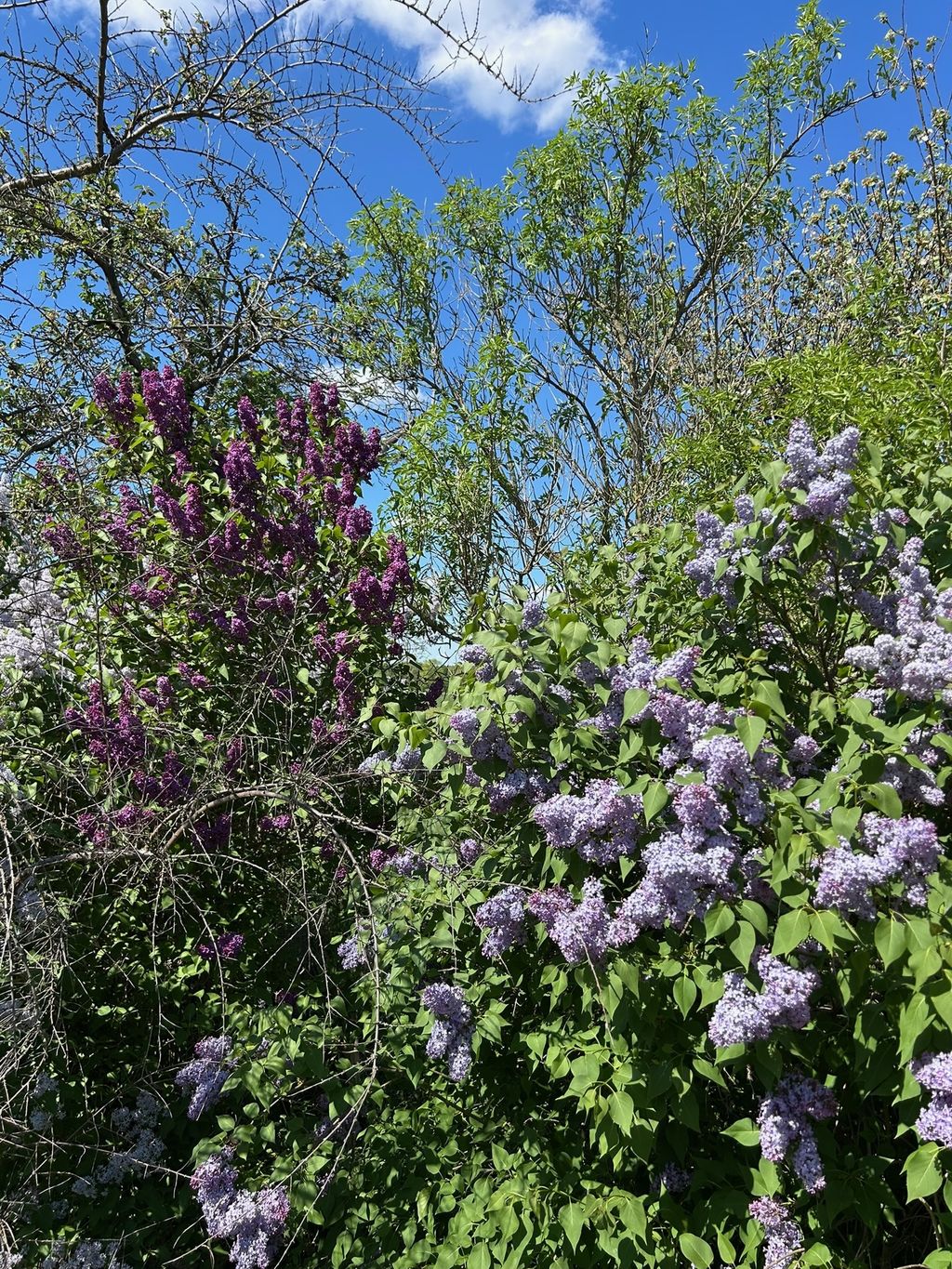 Natur-Idylle am Hof: Ruhe & Lagerfeuer-Romantik