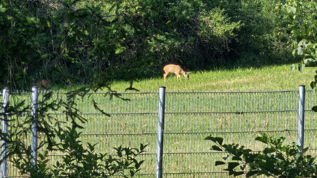 Wilde Heimat, malerische Anlage inmitten der Natur