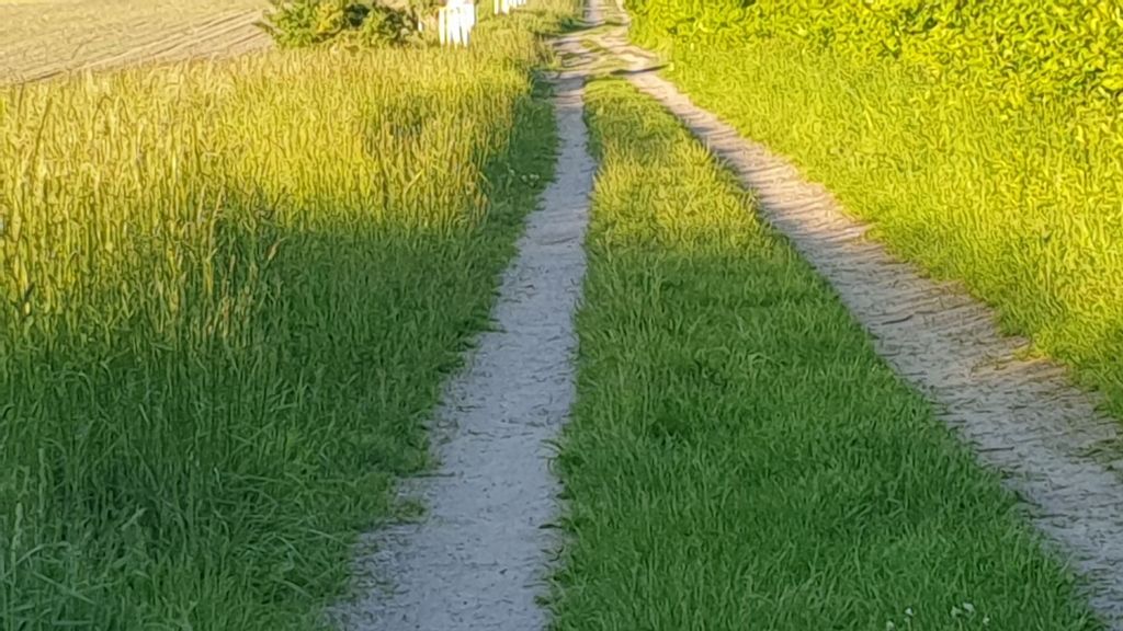 Idylle dans le jardin familial au bord du lac Ruppin