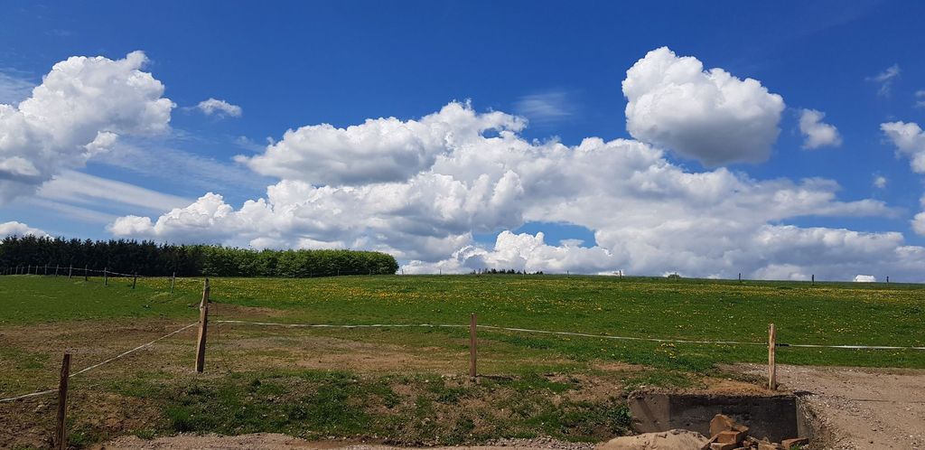 Parcela en el campo en una pequeña granja ecuestre ecológica