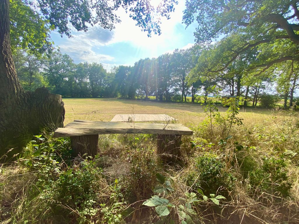 Idyllic meadow by the Tieberteich pond in a secluded location