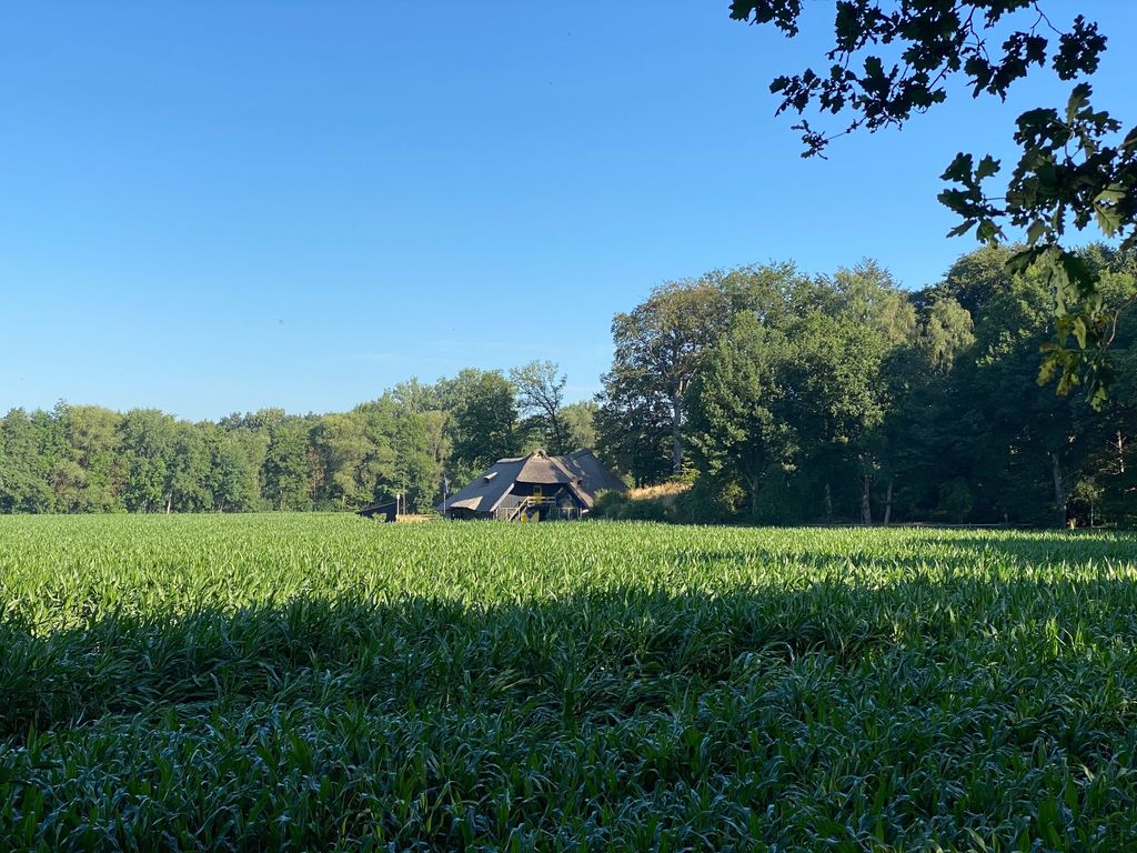 Hohenheide stable - quiet idyll on the Hessel river