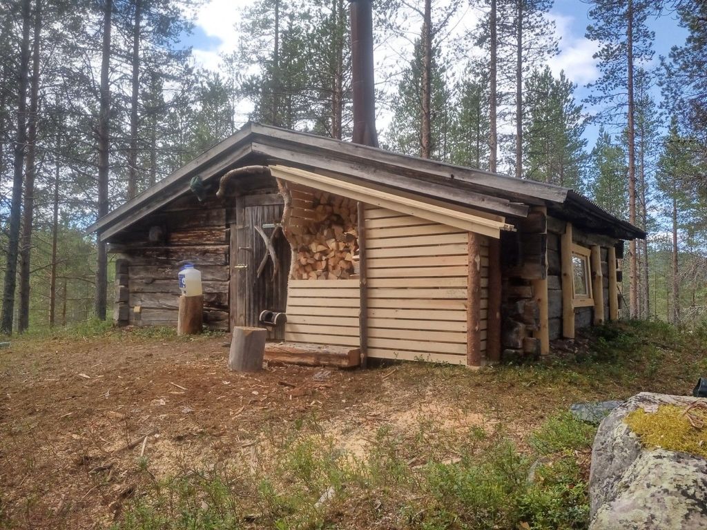 Blockhaus in absoluter Wildnis - "lonely lynx"