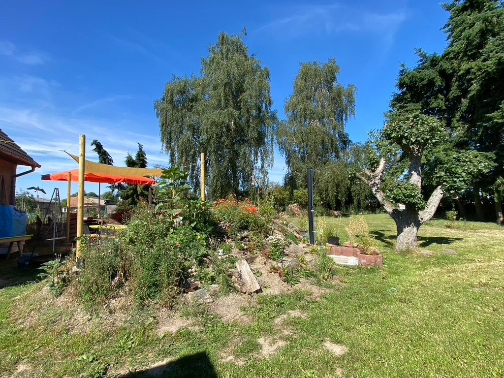 entspannt in der Wiese dem Alltag entfliehen