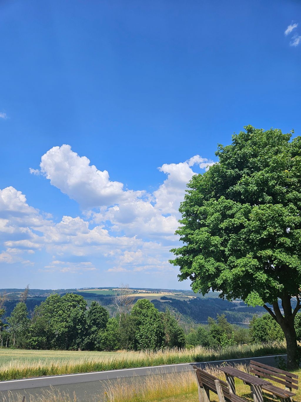 Far-reaching views of the Thuringian Slate Mountains