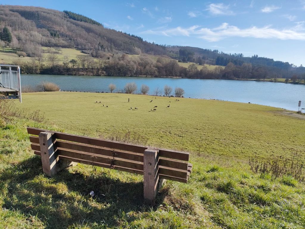 Schwanennest am See in Alleinlage