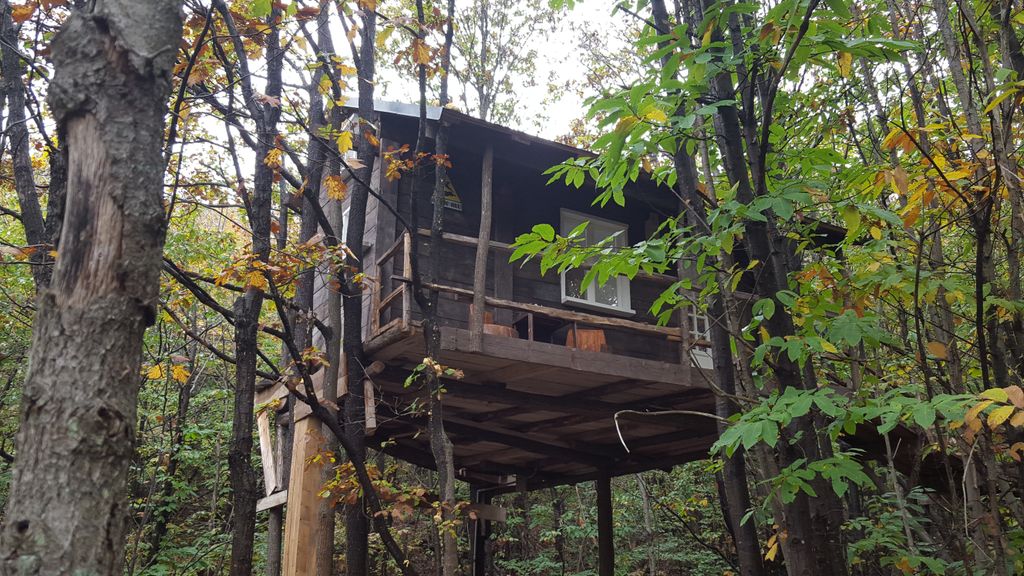 Profitez d'une cabane confortable dans une forêt privée