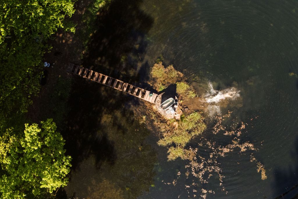 Acampar junto a un lago cristalino en el denso bosque del Palatinado