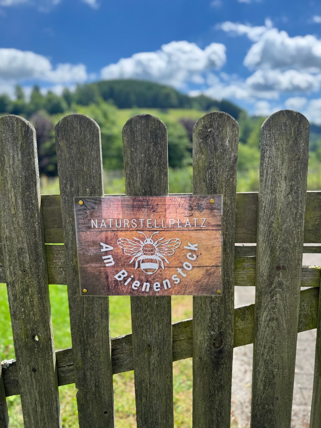 Aparcamiento natural Am Bienenstock