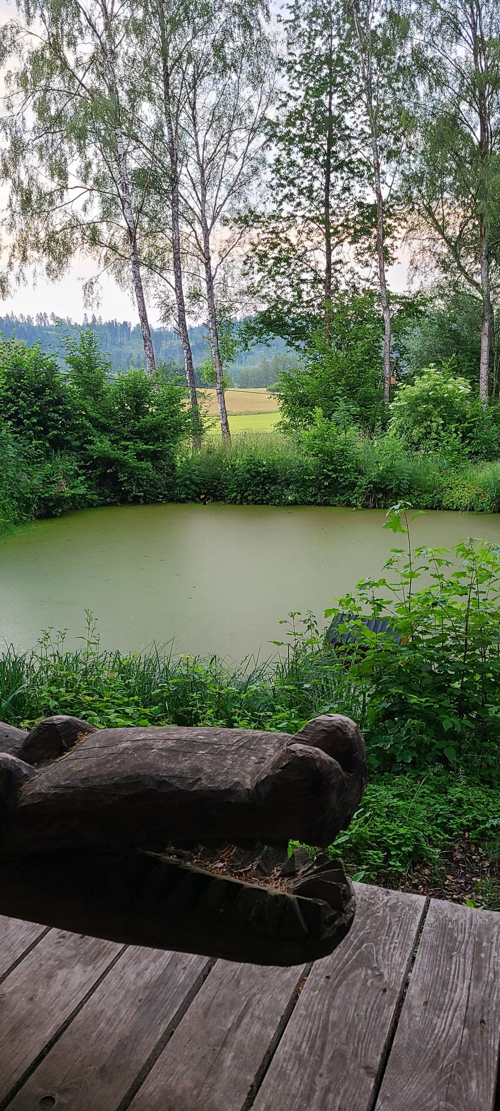 Un paradiso per le piazzole con veranda proprio in riva al laghetto 
