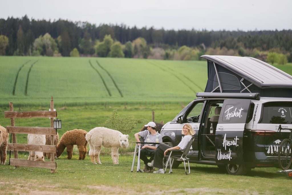 Acampada junto al prado de las alpacas y los burros