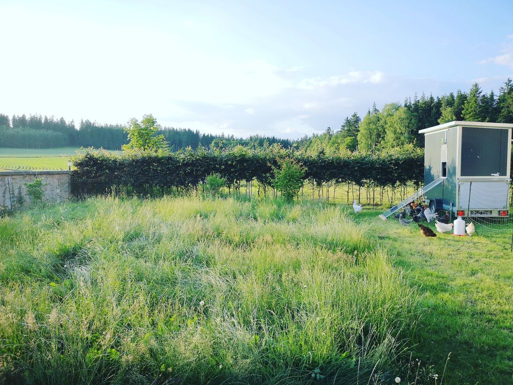 Familienfreundlicher Bauernhof direkt am Wald