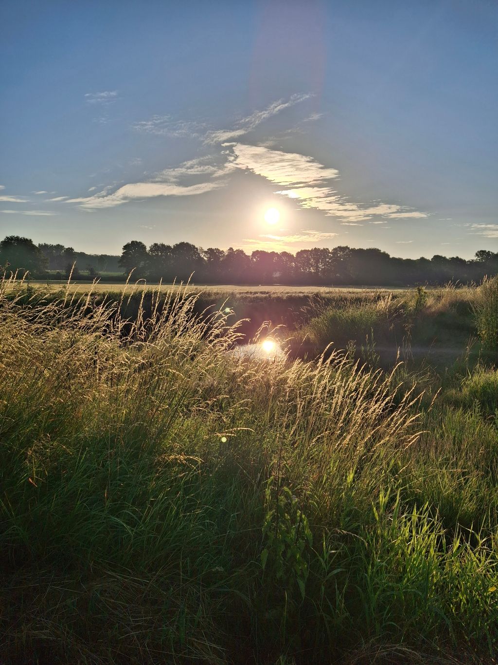Idyllischer Stellplatz nahe der Vecht