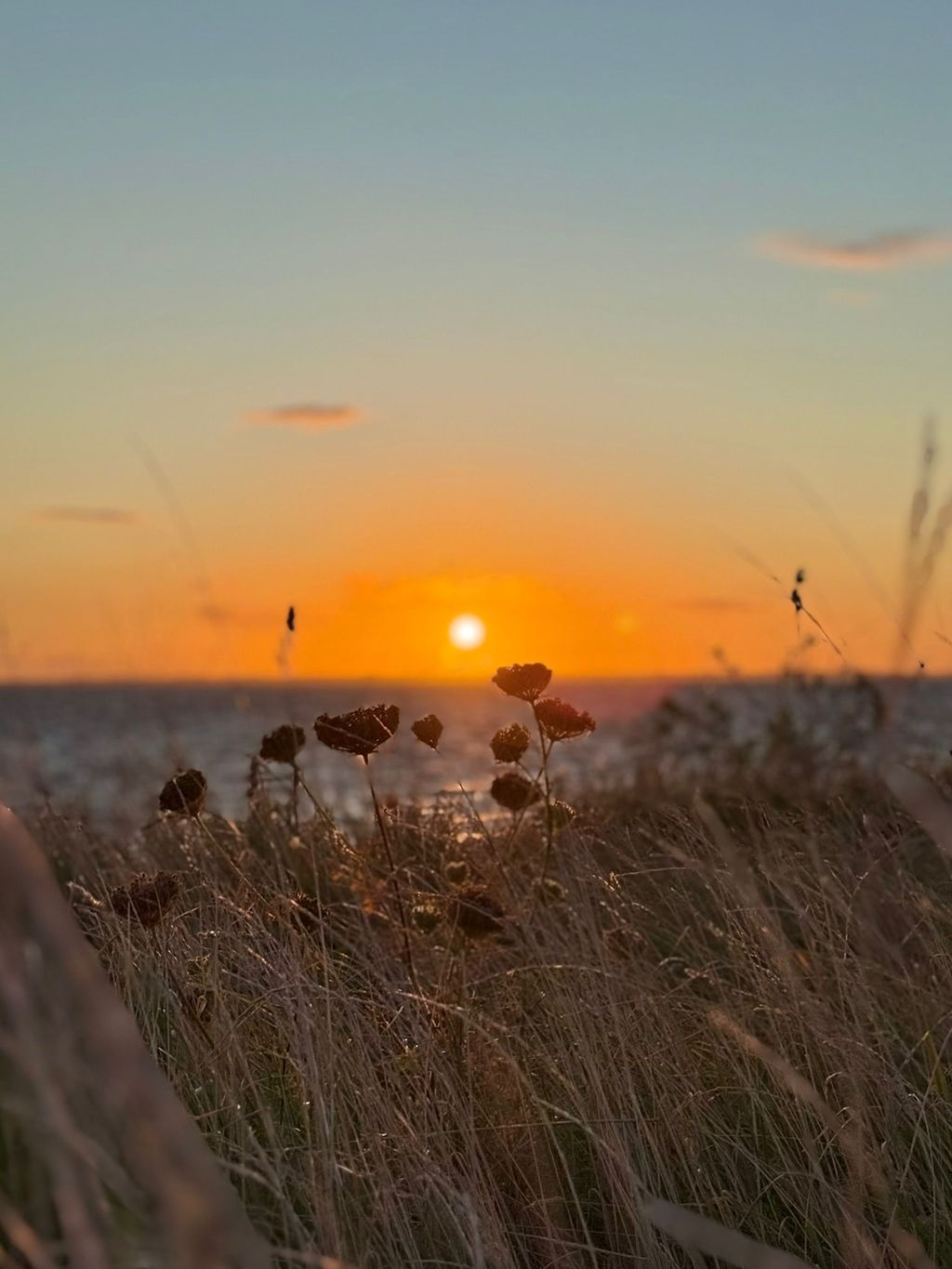 Camping am Meer – Insel Ærø erleben