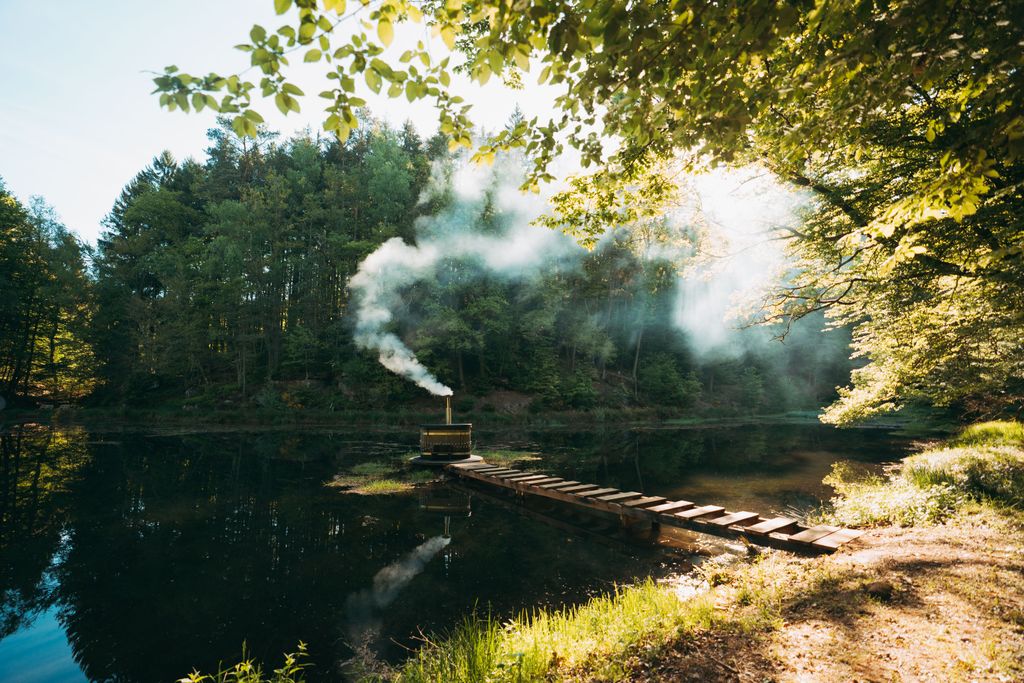 Acampar junto a un lago cristalino en el denso bosque del Palatinado