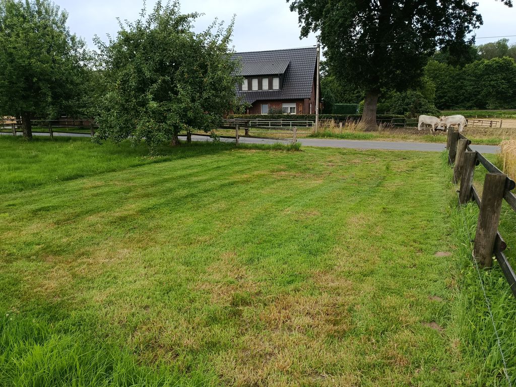 A spot on the lawn next to the fruit trees 