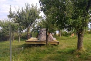 Zeltwiese im Apfelwald 