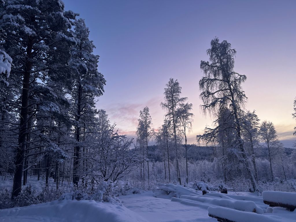 Starte dein Lappland Abenteuer jetzt!