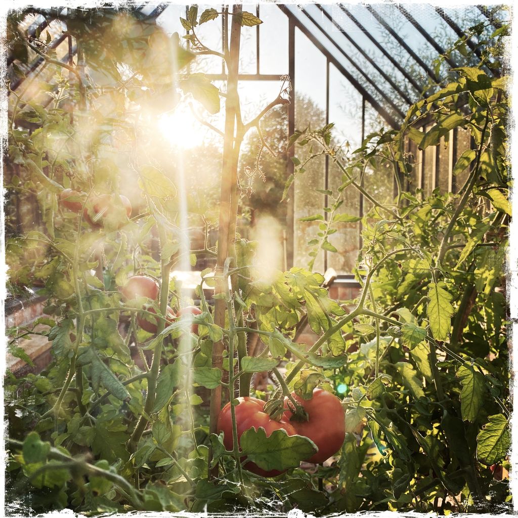Willkommen im Idyll - Biosphärenreservat Schaalsee