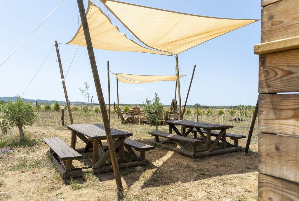 Glamping Tents in Ecological Farm 3