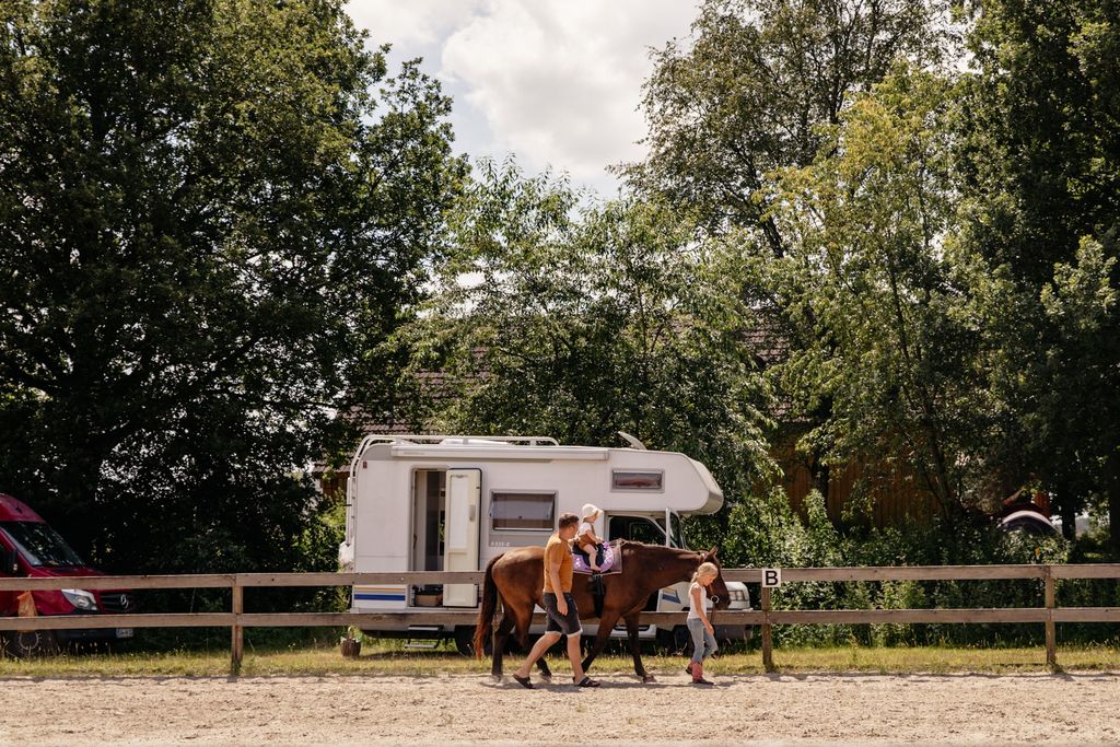 Rancho con caballos y ganado en el canal Ems-Jade