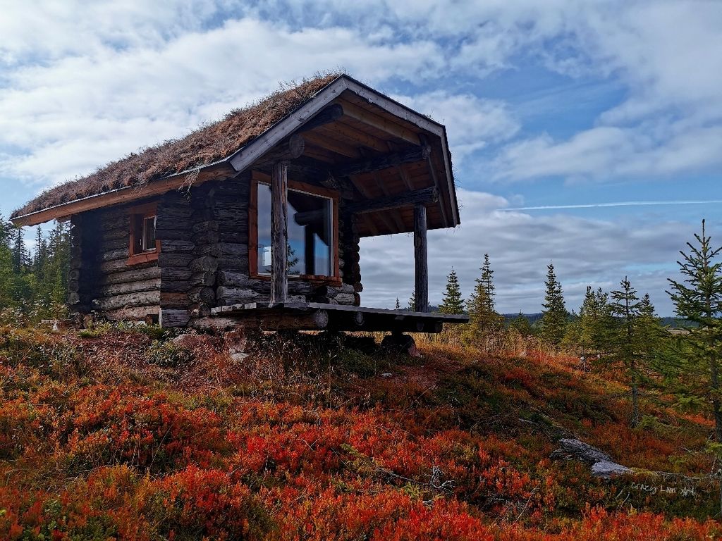 urige Blockhütte "Mad Muskox" - Grenze zur Wildnis