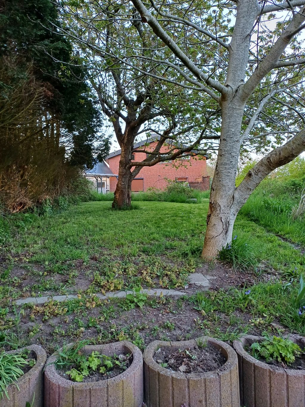 Naturnaher Stellplatz in der Nähe der Schlei