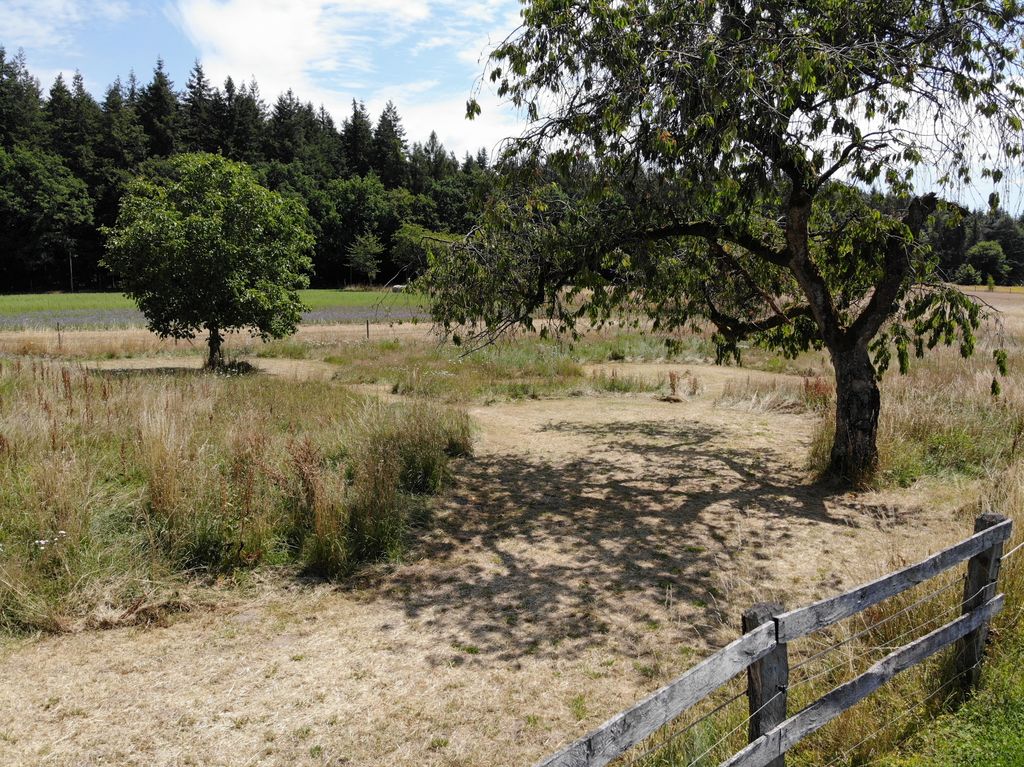 Camping en la naturaleza entre bosque, cascadas y cultura