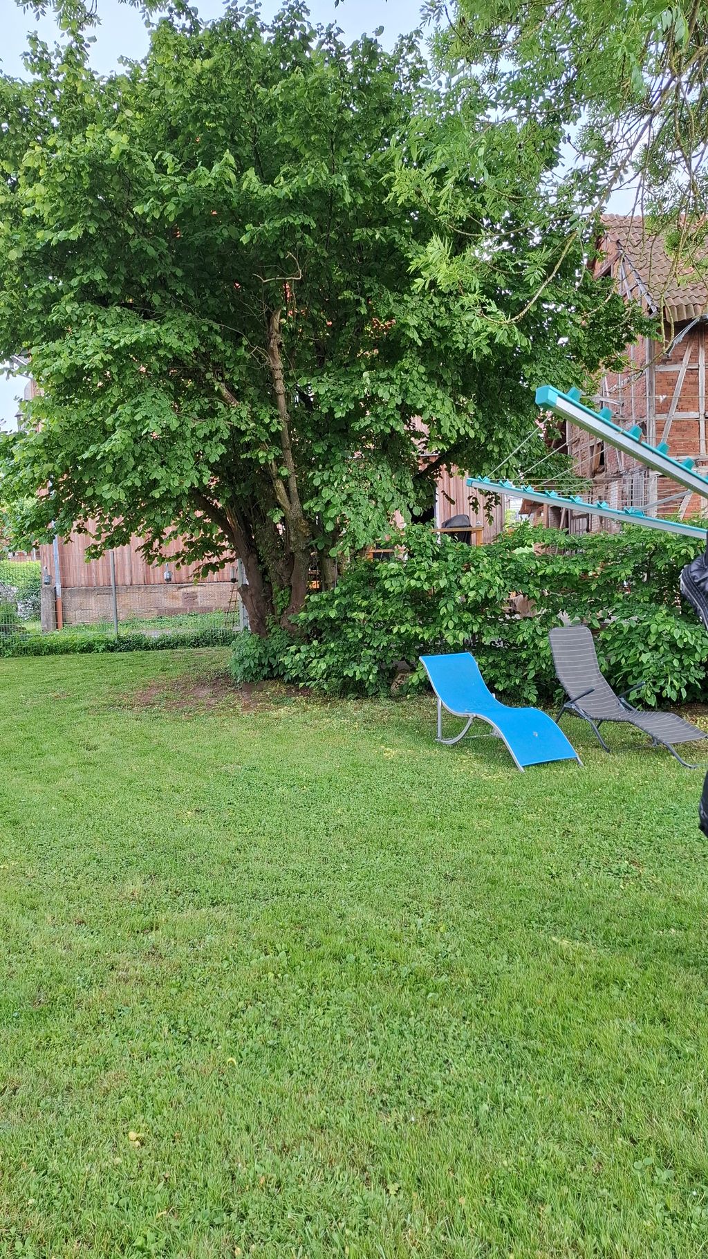 Nel centro della città eppure completamente soli in riva al ruscello