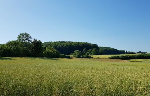 Campeggio nella foresta della Svizzera francese