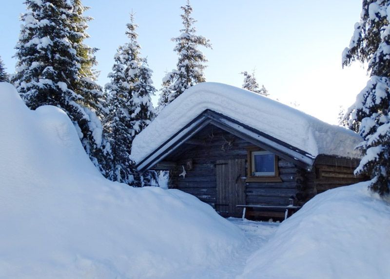 urige Blockhütte "Lazy Moose" mit Wildnis-Feeling