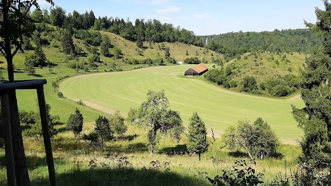 Idylle pur auf dem Hofgut - Wiesenstellplatz 