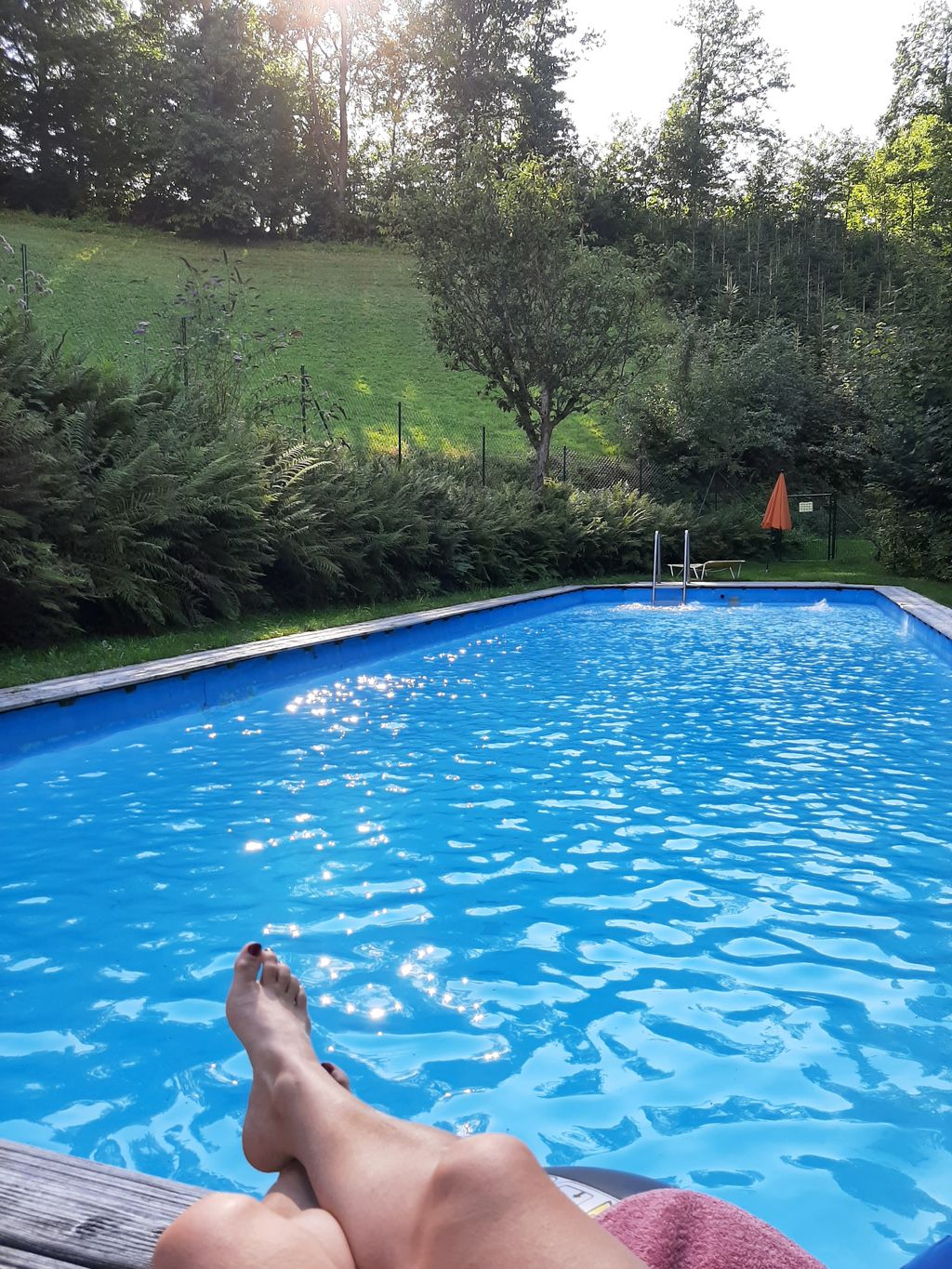 Piscina nel cortile