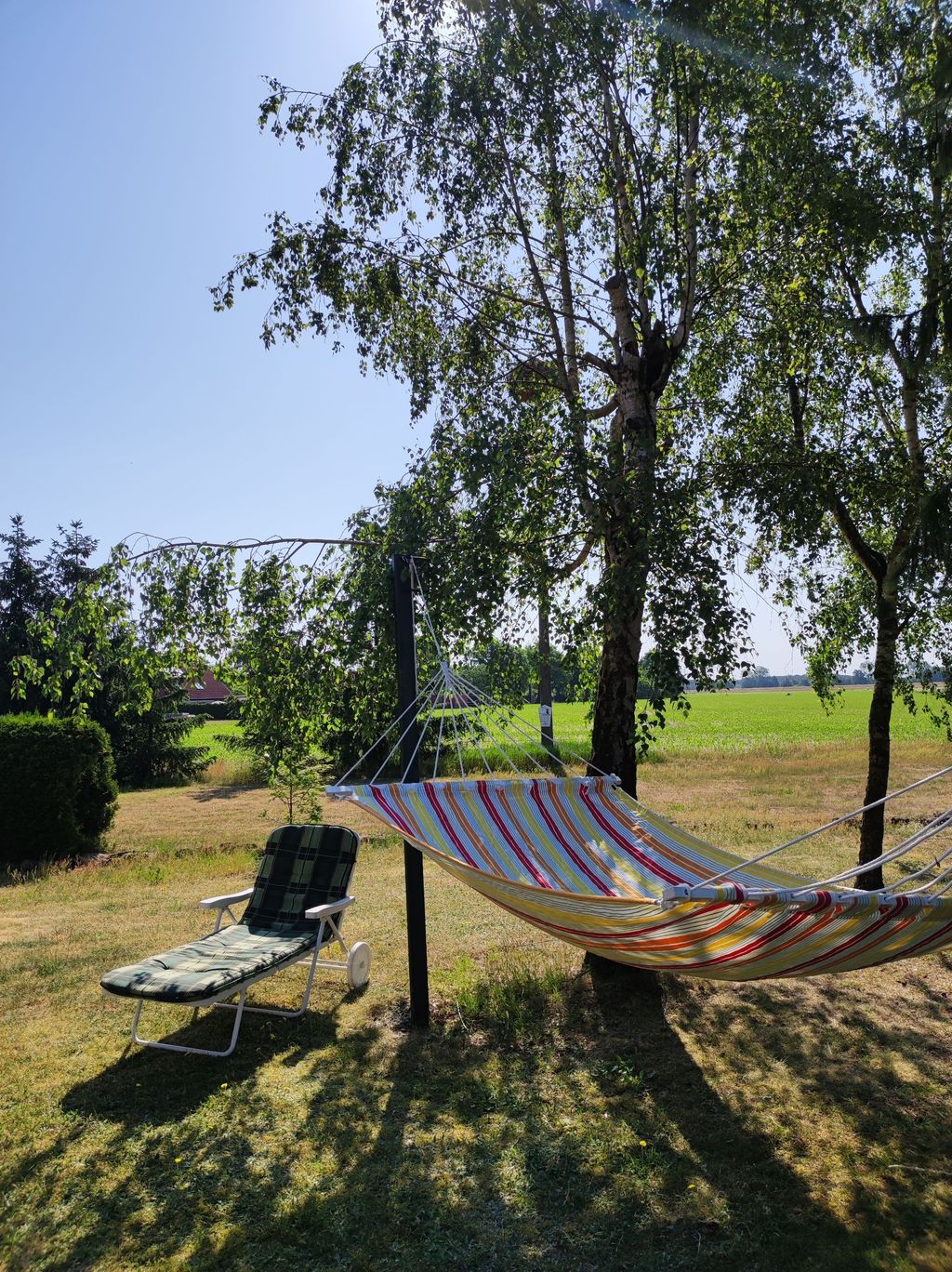 Altes Bauernhausgrundstück mit Storchennest
