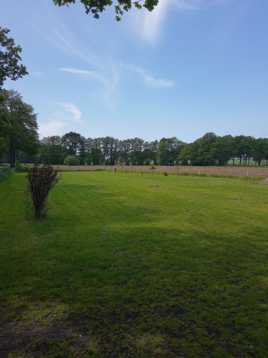 Ruhige Lage außerhalb des Ortskern 