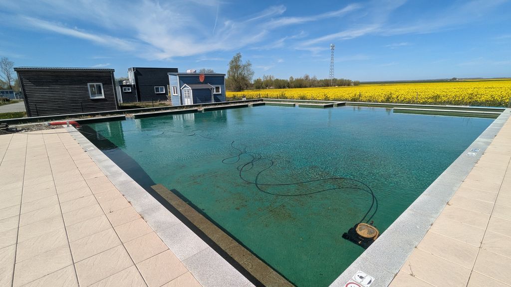 Naturpool - Gemeinschaf