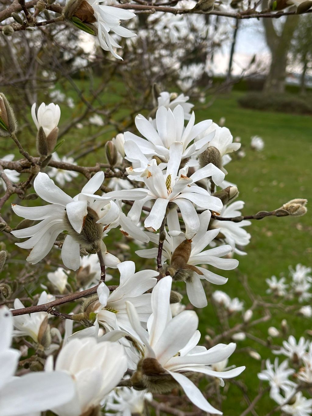 Farmstead Camping by the Lake: Peace & Nature