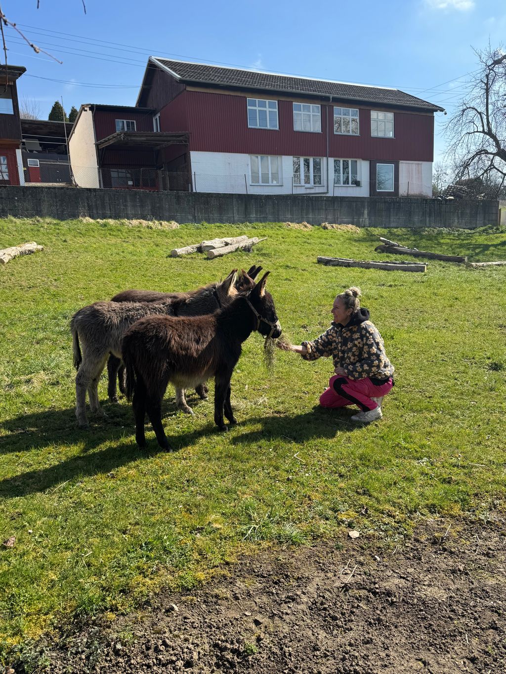 Ländliche Ruhe in der Bodenseeregion