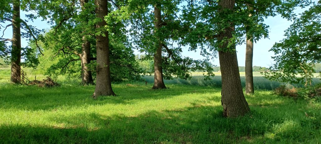 Benvenuti nella sala da concerto della natura