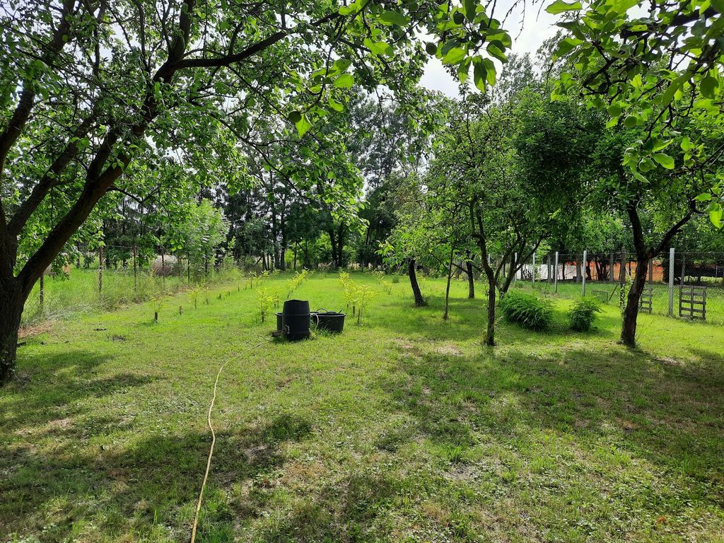 Time out in Hungary - idyll in the countryside
