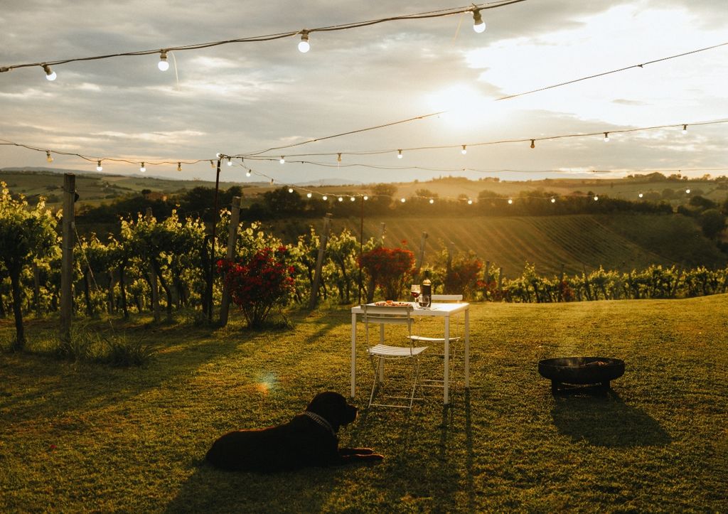 Emplacements dans le vignoble