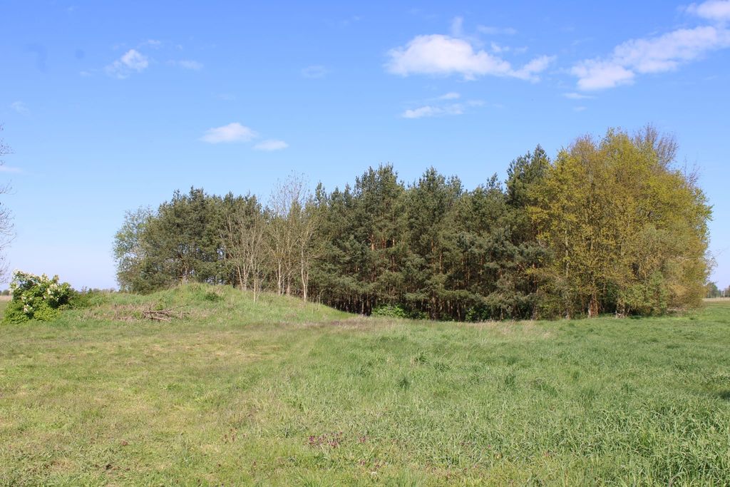 Campeggio sull'isola della foresta
