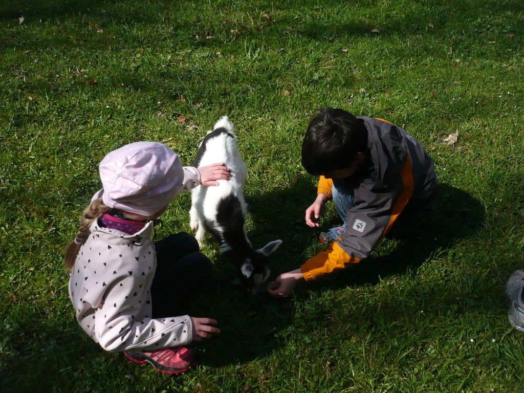 Camping auf dem Erlebnishof im Allgäu