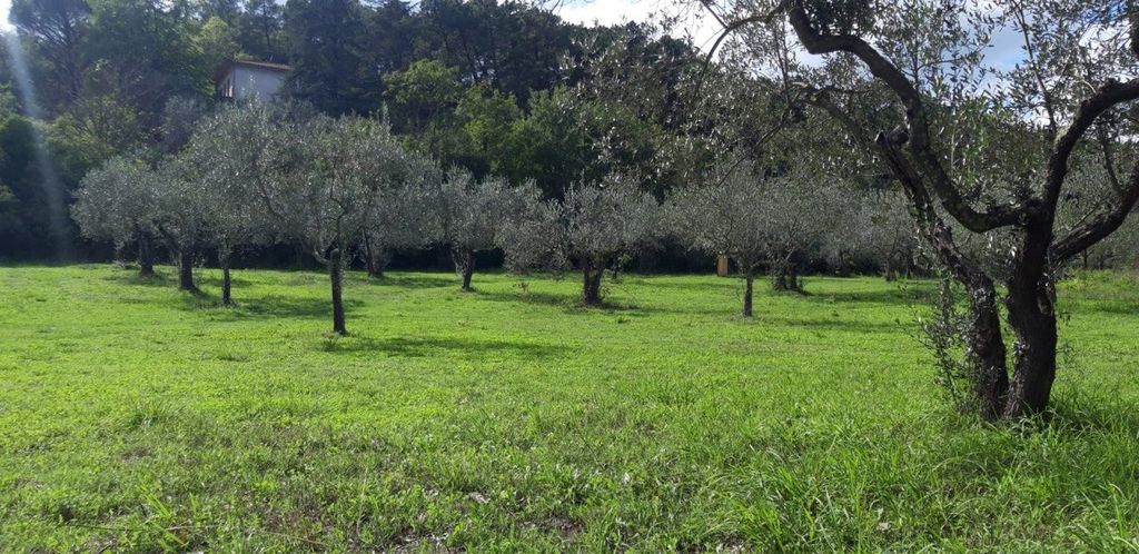 Agricamping Borgo Agna