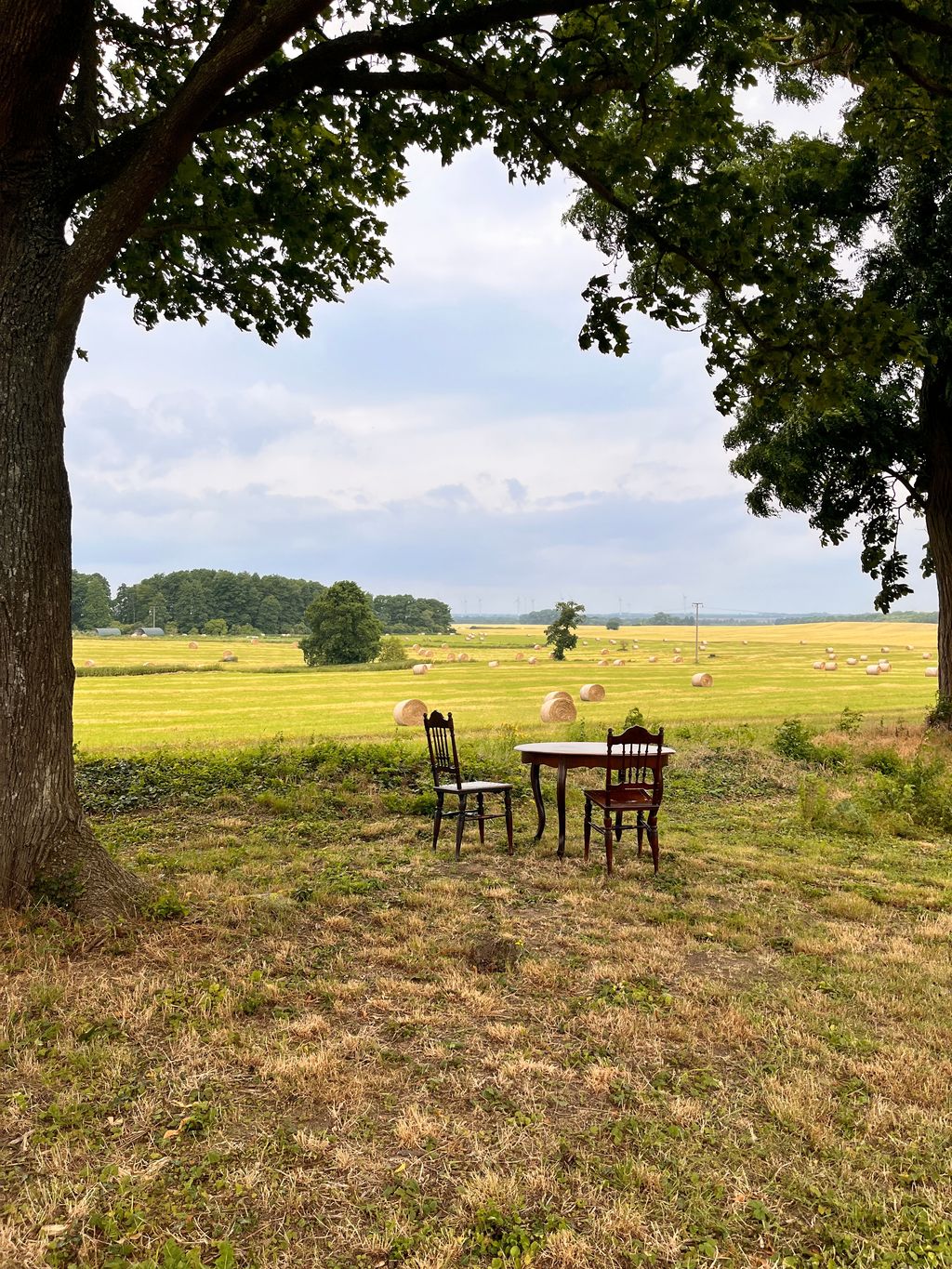 Romantischer Gutspark in der Seenplatte 
