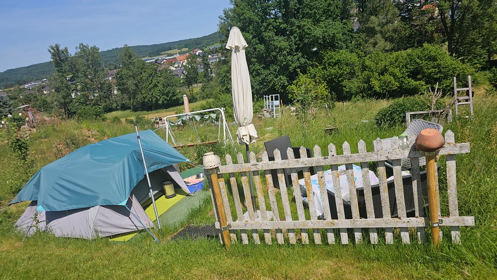 Igloo tent with a dog in the natural garden