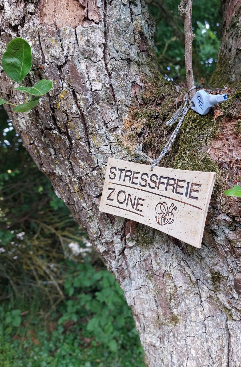 Rothenburg ob der Tauber: Wiesen-Camp am Ortsrand